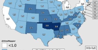 Mapped: Walmarts per 100k people