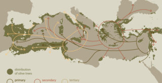 Map of distribution and expansion of olive trees over the Mediterranean Basin