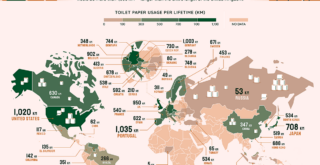 Toilet paper lifetime consumption mapped