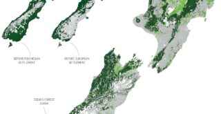 Deforestation in New Zealand mapped