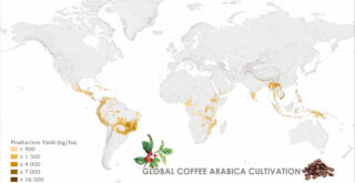 Global Coffee Arabica Cultivation Mapped