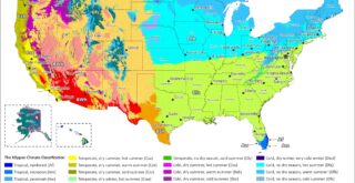 United States Köppen Climate Classification Map