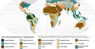 Last Glacial Maximum Vegataion World Map