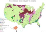 Dominant crop in every US county mapped