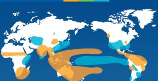 How El Nino Shifts Rainfall Patterns in Different Part of the World according to WMO