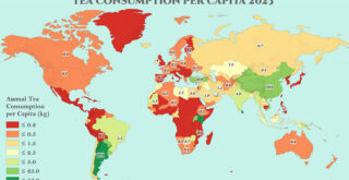 World Map of Tea Consumption Per Capita by Country
