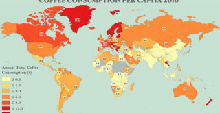 World Map of Coffee Consumption Per Capita Worldwide in 2010