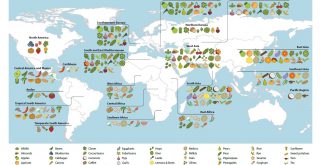 Domesticated plants